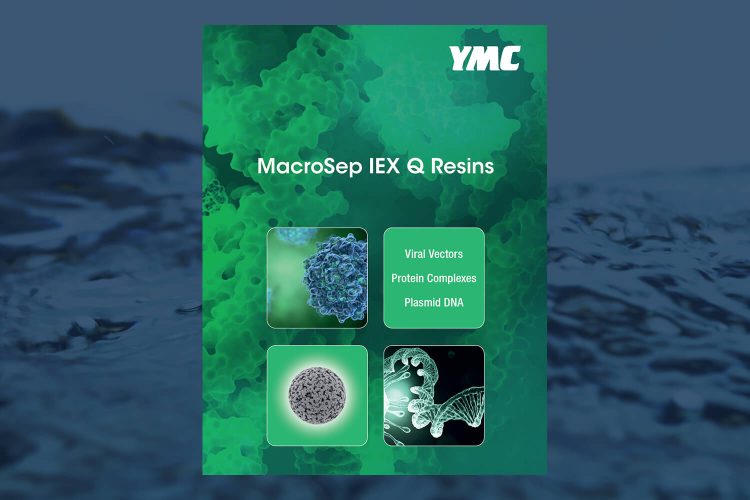 MacroSep IEX Q Resins